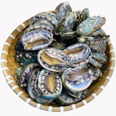 BÀO NGƯ HÀN QUỐC - THEO THỜI GIÁ