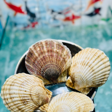 SÒ ĐIỆP NHẬT-THEO THỜI GIÁ